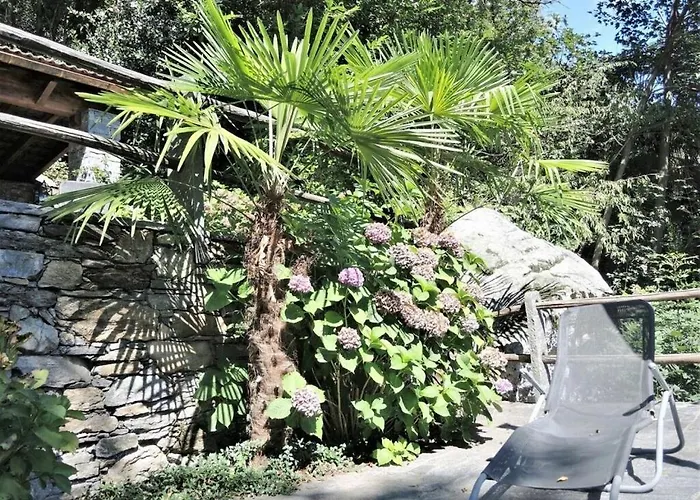 Vakantiehuis In With Swimming Pool *