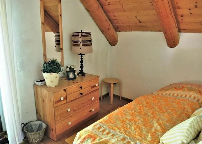 Vakantiehuis In With Swimming Pool