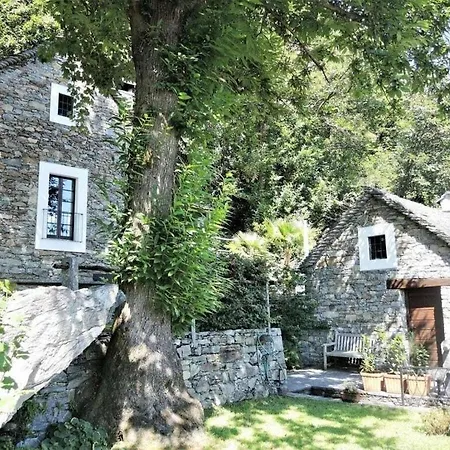 In With Swimming Pool