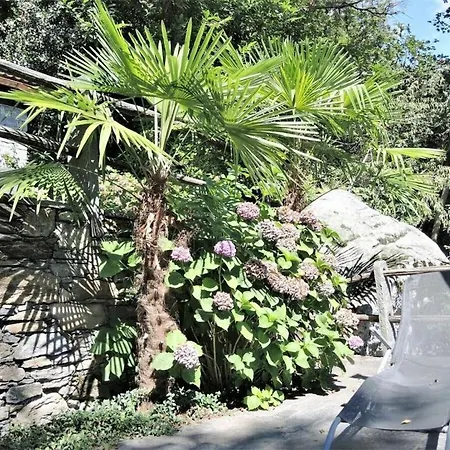 Nyaraló In With Swimming Pool *