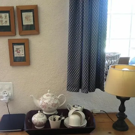 In With Swimming Pool *