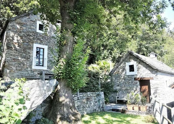 In With Swimming Pool